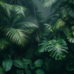 Exploring the Lushest Tropical Jungle on Earth