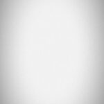 Spectacular Plane Silhouette in a Perfect Gray Sky