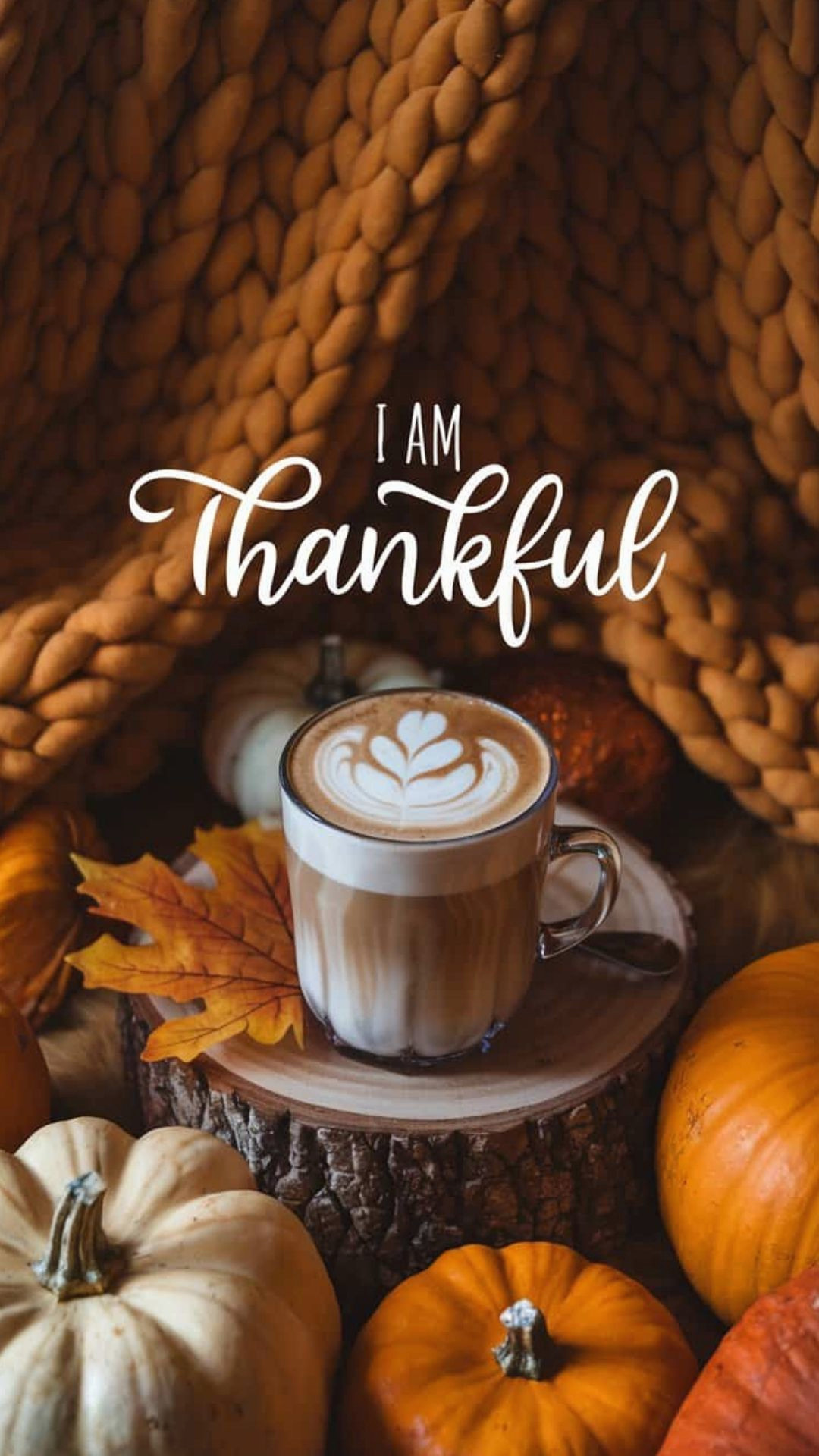 Fall for Coffee: A Pumpkin Season Perk