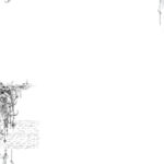 Timeless Elegance: Ornate Beauty Within a Simple Frame