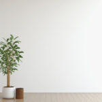 Minimalist Oasis: Empty Room, Potted Bliss